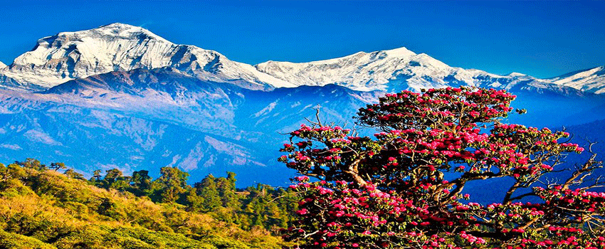 Exquisite Nepal-(07 Days /06 Nights)